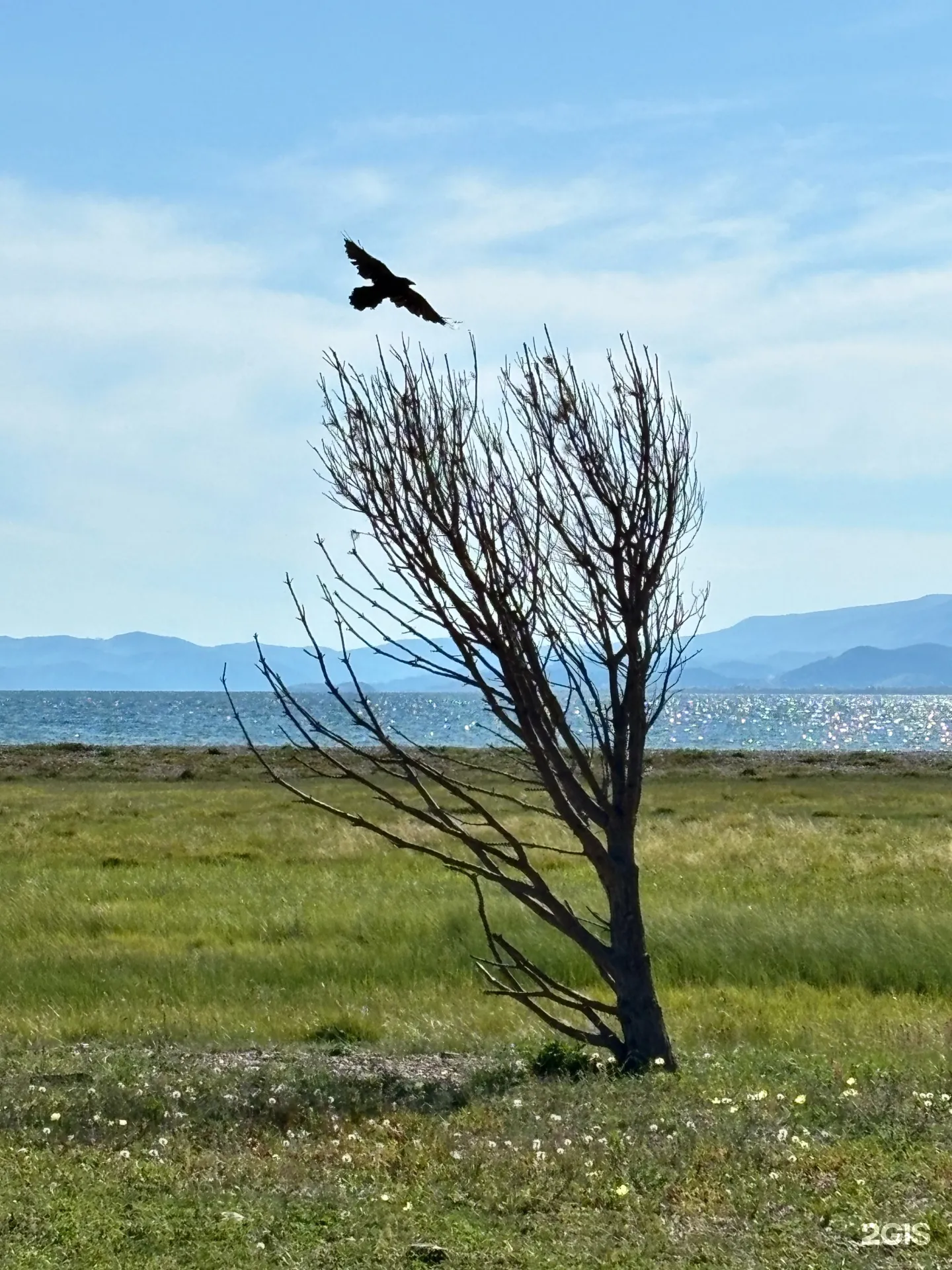 Прибайкальский национальный парк
