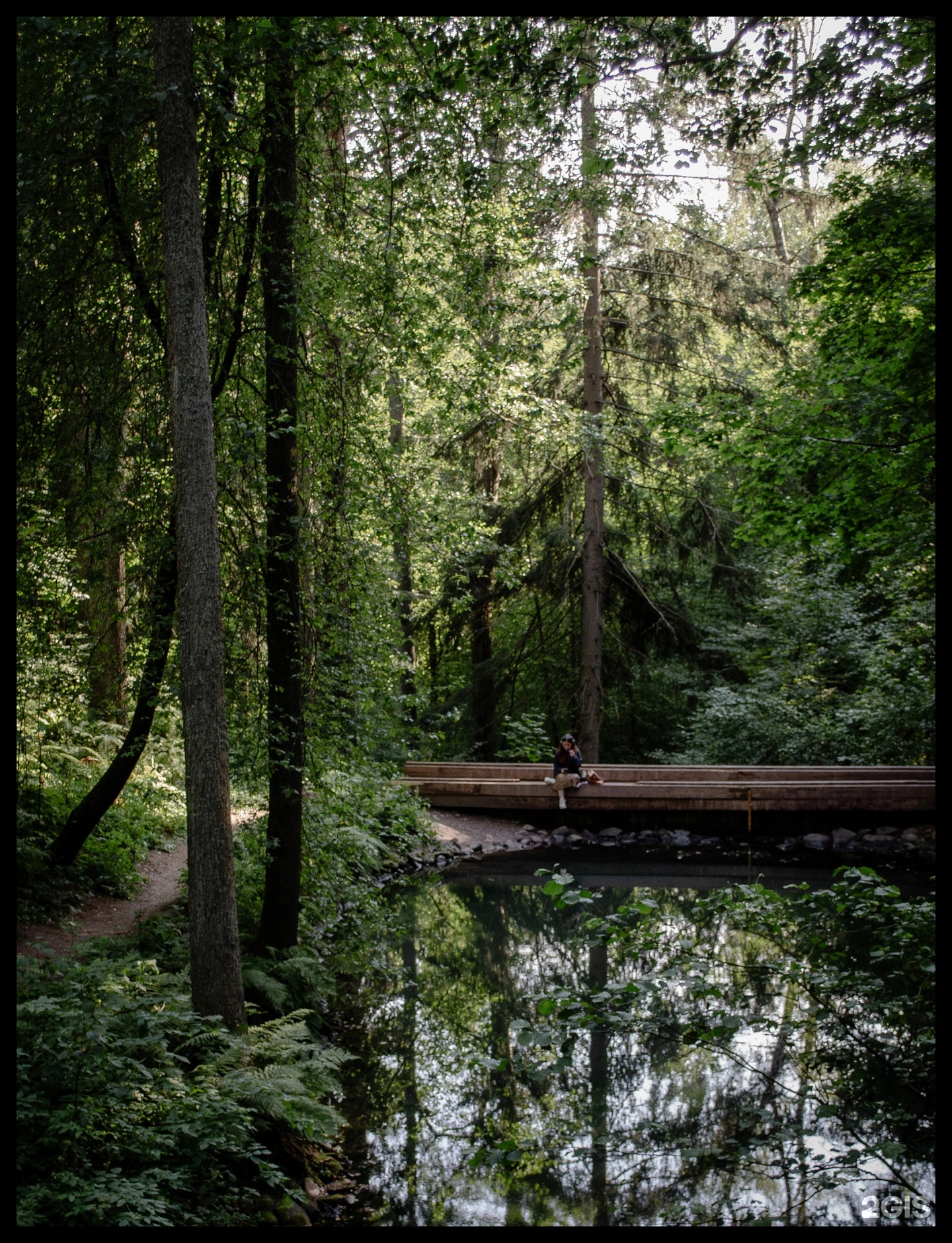 Комаровский берег