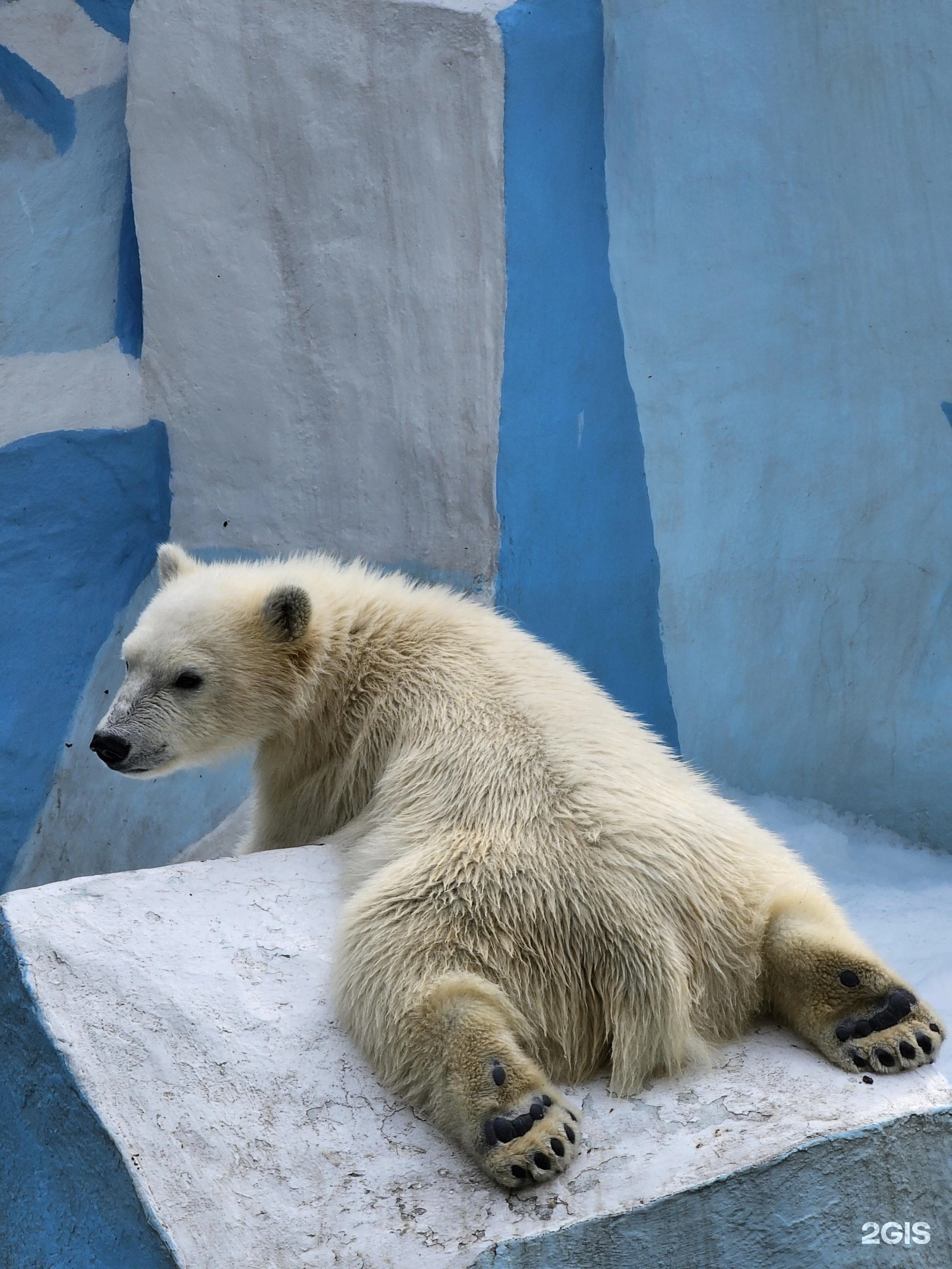 Новосибирский зоопарк им. Р.А. Шило
