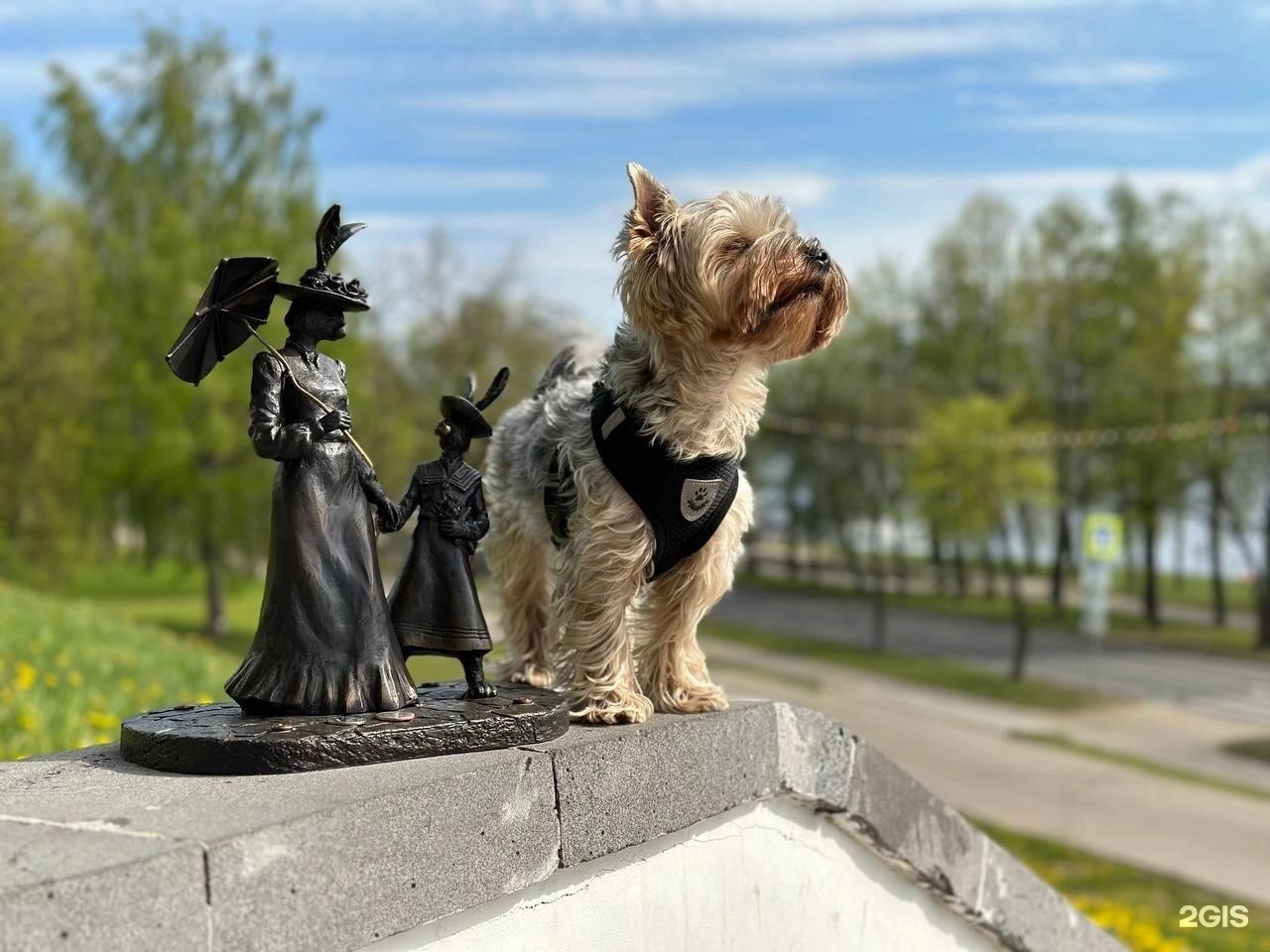 Благородная дама