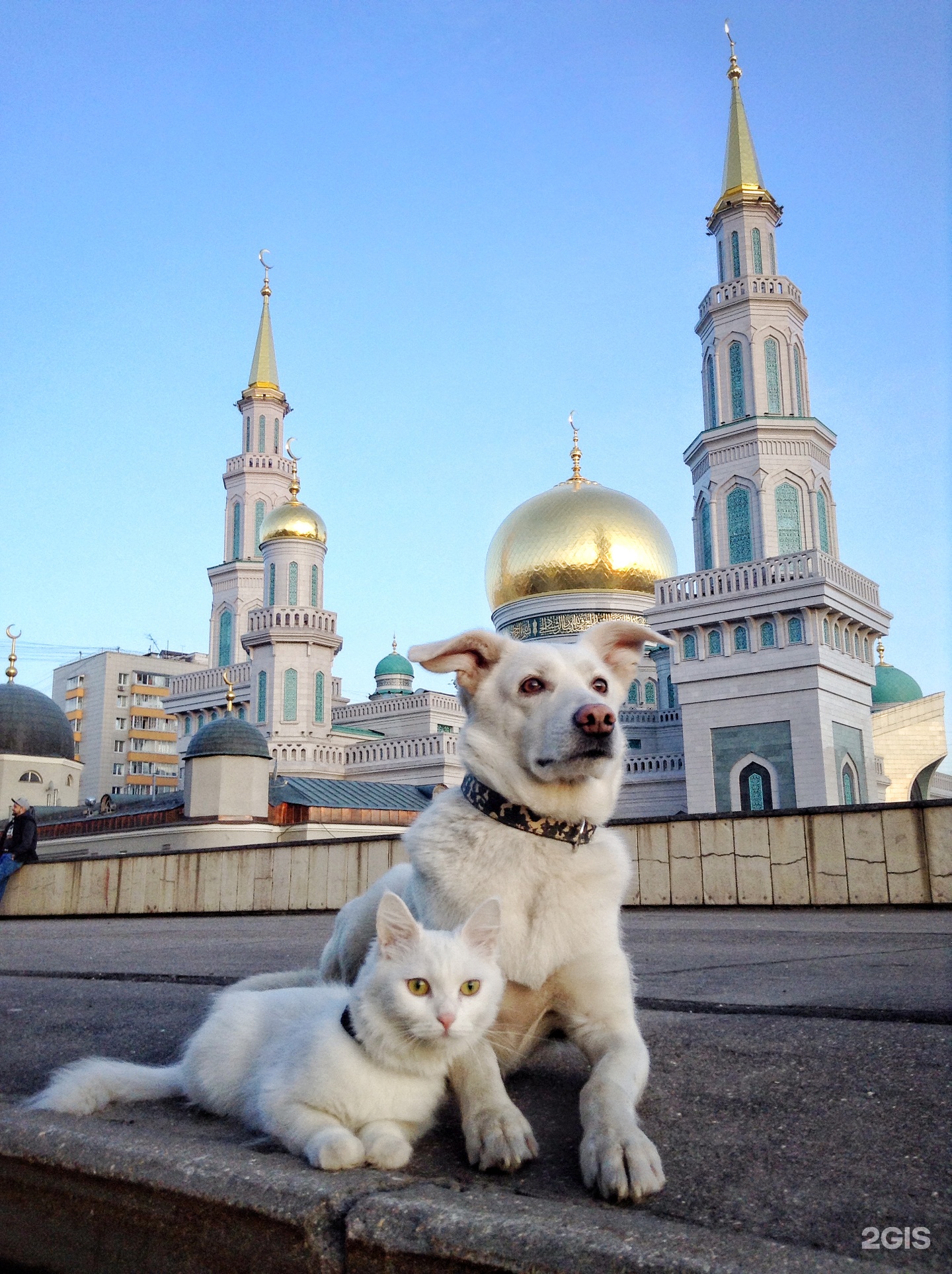 Московская Соборная мечеть
